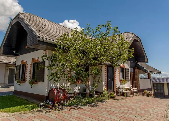 Pensionat Vinska Klet Smej 3*