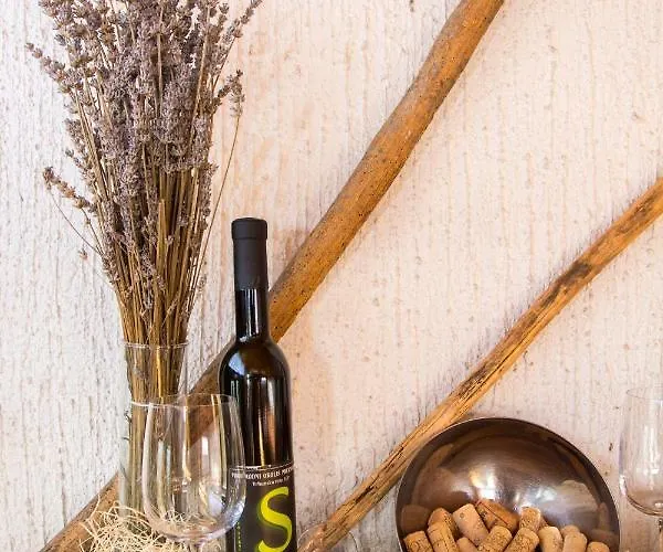 Vinska Klet Smej Πανσιόν