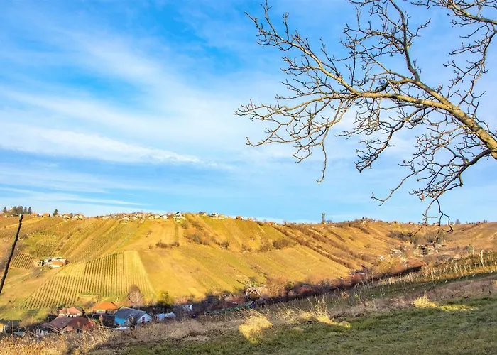 Vinska Klet Smej Pensionat